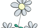 02 darlings of spring
